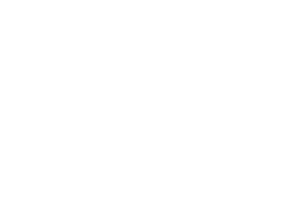 Bienestar SAVAL Chile
