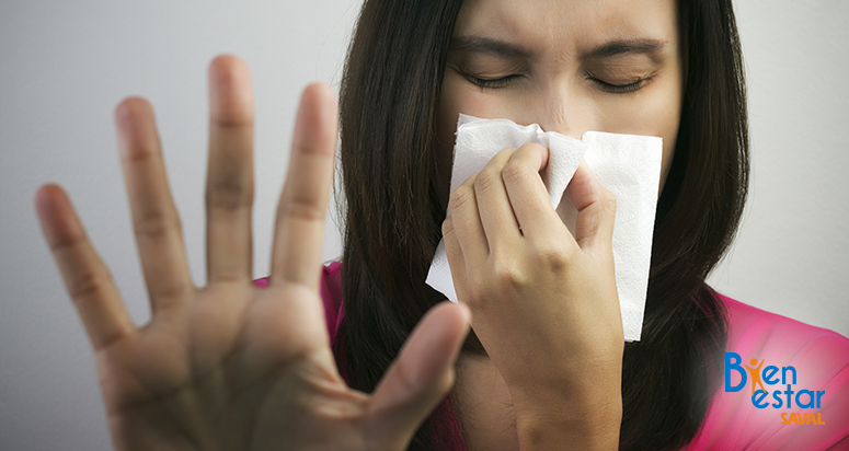 influenza en adultos