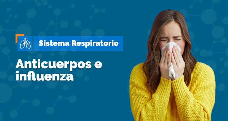 anticuerpo e influenza